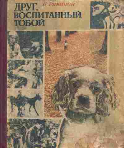 Книга Рябинин Б. Друг, воспитанный тобой, 11-4942, Баград.рф